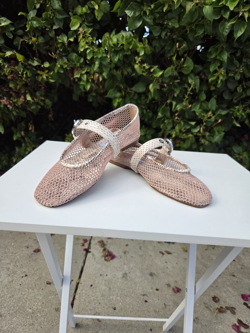 Steve Madden Lucia Mary Jane Flats Women's 6.5 Mesh Snake Print Strap NIB